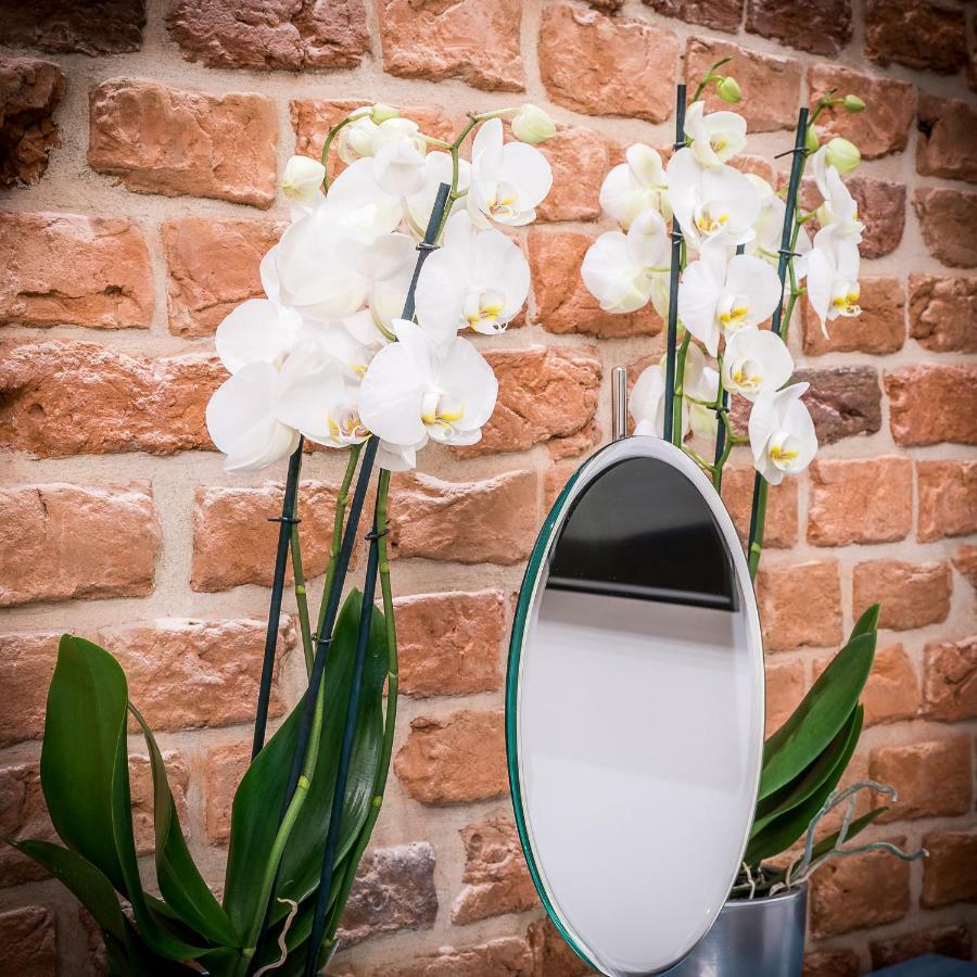 Apartamenty "Artaparts" Stare Miasto - Centrum Stary Toruń Buitenkant foto